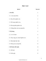 SKKN Một số biện pháp dạy và học môn Mĩ Thuật theo phương pháp Đan Mạch vẽ tranh theo chủ đề lớp 4