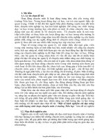 SKKN Một số kinh nghiệm chỉ đạo nâng cao chất lượng sinh hoạt chuyên môn ở trường Tiểu học