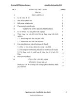 SKKN Sử dụng mô hình đường biểu diễn đồ thị và hình vẽ để tạo hứng thú học tập cho học sinh khi dạy...