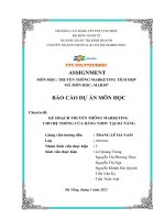 BÁO cáo dự án môn học chuyên đề kế HOẠCH TRUYỀN THÔNG MARKETING CHO hệ THỐNG cửa HÀNG YODY tại đà NẴNG