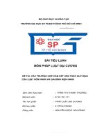 TIỂU LUẬN môn PHÁP LUẬT đại CƯƠNG đề tài các TRƯỜNG hợp cấm kết hôn THEO QUY ĐỊNH của LUẬT hôn NHÂN và GIA ĐÌNH HIỆN HÀNH 