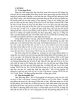 SKKN Một số kinh nghiệm bồi dưỡng học sinh giỏi môn Lịch sử Lớp 8 và lớp 9 cấp huyện ở trường THCS D...