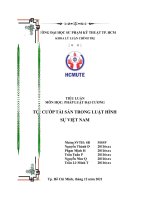 tiểu luận pháp luật đại cương TỘI CƯỚP TÀI SẢN TRONG LUẬT HÌNH SỰ VIỆT NAM