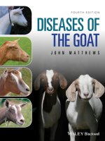 Diseases of the goat 