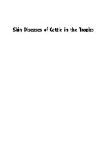 Mohamed elamin hamid   skin diseases of cattle in the tropics  a guide to diagnosis and treatment academic press (2016) 