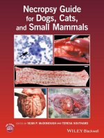 Necropsy guide for dogs, cats, and small mammals 