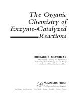 Organic chemistry of enzyme catalyzed reactions 