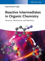 Reactive intermediates in organic chemistry 