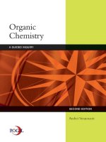 Organic chemistry a guided inquiry 