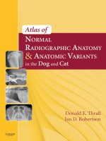 Atlas of normal radiographic anatomy and anatomic variants in the dog and cat 
