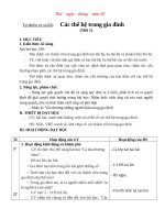 Giáo án Tự nhiên và xã hội 2 sách Chân trời sáng tạo (Cả năm)