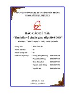 Báo cáo Thiết kế ngoại vi: Tìm hiểu về chuẩn giao tiếp SDSDIO