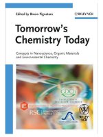 Bruno pignataro   tomorrows chemistry today  concepts in nanoscience, organic materials and environmental chemistry wiley VCH (2009) 