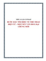 BƯỚC ĐẦU TÌM HIỂU VỀ THỂ THAO ĐIỆN TỬ DƯỚI GÓC NHÌN VĂN HÓA ĐẠI CHÚNG