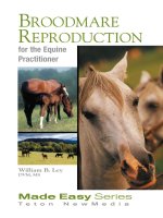 Broodmare reproduction for the equine practitioner 