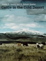 James albert young, b  abbott sparks   cattle in the cold desert  university of nevada press (2002) 