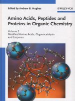 Amino acids, peptides and proteins in organic chemistry 2   modified amino acids, organocatalysis and enzymes 