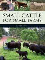 Margo hayes   small cattle for small farms (landlinks press) (2008) 