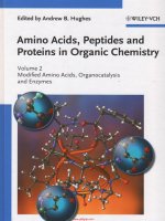 Amino acids, peptides and proteins in organic chemistry 2  modified amino acids, organocatalysis and enzymes (amino acids, peptides and proteins in organic chemistry  (VCH)) ( PDFDrive ) (1) (1) 