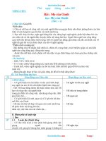 Giáo Án Tiếng Việt Lớp 2 Tuần 16 Sách Chân Trời Sáng Tạo