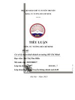 TIỂU LUẬN môn tư TƯỞNG hồ CHÍ MINH đề tài cơ sở lý luận hình thành tư tưởng hồ chí minh 