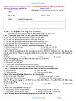 Đề Thi HK2 Môn KHTN 6 Kết Nối Tri Thức Có Đáp Án Và Ma Trận