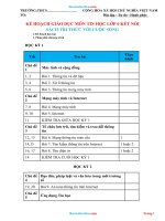 Phân Phối Chương Trình Tin Học 6 Sách Kết Nối Tri Thức