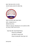 đề tài  nghiên cứu chiến lược marketing mix cho sản phẩm sữa milo của công ty TNHH nestlé việt nam 