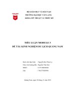 TIỂU LUẬN MODULE 3 đề tài KINH NGHIỆM DU LỊCH QUẢNG NAM 