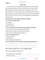 Phiếu Cuối Tuần Tiếng Việt 2 Kết Nối Tri Thức Tuần 16