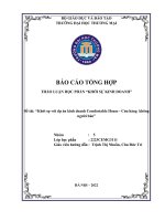 THẢO LUẬN học PHẦN “KHỞI sự KINH DOANH” đề tài khởi sự với dự án kinh doanh comfortable house   cửa hàng không người bán1 