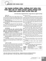 Tác dụng chống viêm, chống oxy hóa của viên tiền liệt HV trên chuột cống trắng gây tăng sản lành tính tuyến tiền liệt