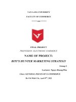 FINAL PROJECT PROFESSION ELECTRONIC COMMERCE NAME OF PROJECT BITI’S HUNTER MARKETING STRATEGY 