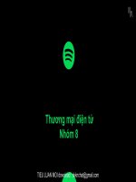 Thương mại điện tử spotify là ứng dụng nghe nhạc trực tuyến được khai sinh bởi công ty spotify AB tại stockholm (thụy điển) 