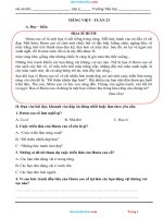 Phiếu Cuối Tuần Tiếng Việt 2 Chân Trời Sáng Tạo Tuần 23