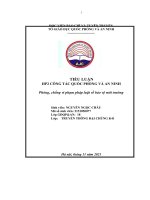 TIỂU LUẬN HP2 CÔNG tác QUỐC PHÒNG và AN NINH phòng, chống vi phạm pháp luật về bảo vệ môi trường 