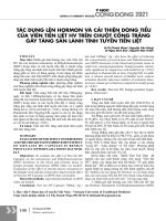 Hormon và cải thiện dòng tiểu của viên tiền liệt HV trên chuột cống trắng gây tăng sản lành tính tuyến tiền liệt