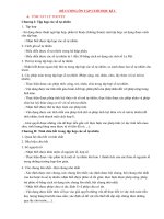 Giáo án dạy thêm  đề cương cuối kì 1