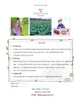 Giáo Án Môn Văn 6 Bài 3: Kí Sách Cánh Diều