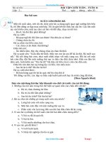 Phiếu Cuối Tuần Tiếng Việt 2 Cánh Diều Tuần 11 Có Đáp Án