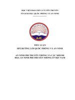 TIỂU LUẬN HP2 ĐƯỜNG lối QUỐC PHÒNG và AN NINH AN NINH PHI TRUYỀN THỐNG và các mối đe dọa AN NINH PHI TRUYỀN THỐNG ở VIỆT NAM 