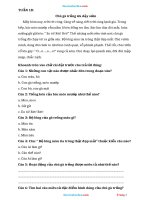 Phiếu Cuối Tuần Tiếng Việt 2 Kết Nối Tri Thức Tuần 18