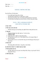 Giáo Án Cánh Diều Môn Hoạt Động Trải Nghiệm Lớp 2 Cả Năm File Word