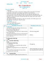 Giáo Án Tiếng Việt Lớp 2 Tuần 17 Sách Chân Trời Sáng Tạo