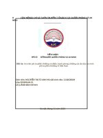 MỘT số GIẢI PHÁP PHÒNG CHỐNG đe dọa AN NINH PHI TRUYỀN THỐNG ở VIỆT NAM    