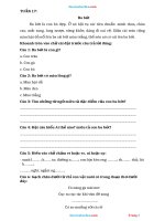 Phiếu Cuối Tuần Tiếng Việt 2 Kết Nối Tri Thức Tuần 17