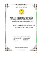 Đ ề tài  nội DUNG CƯƠNG LĨNH dân tộc CHỦ NGHĨA mác LÊNIN 