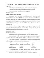 Bài giảng Hóa sinh (Ngành Nuôi trồng thủy sản - Trình độ Cao đẳng): Phần 2 - Trường Cao đẳng Thủy sản