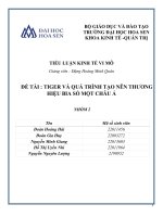 TIỂU LUẬN KINH tế VI mô đề tài  TIGER và QUÁ TRÌNHTẠONÊNTHƯƠNGHIỆU BIA số một CHÂUÁ