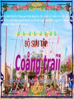 Bo suu tap hinh cong trai   phan 2 